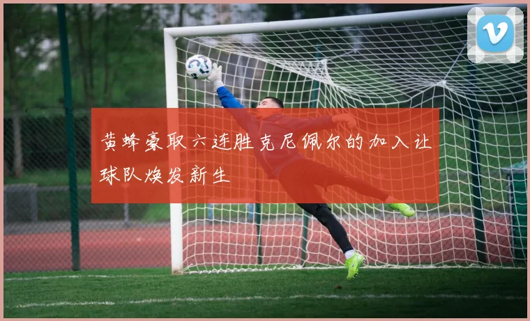 黄蜂豪取六连胜克尼佩尔的加入让球队焕发新生