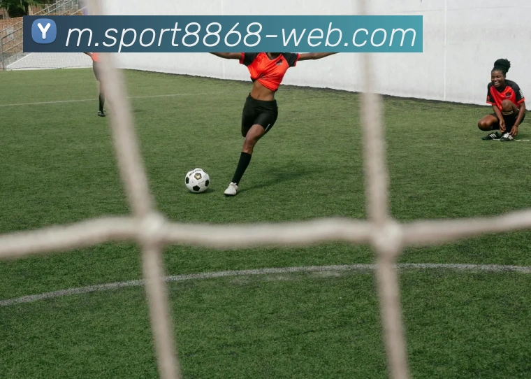 8868体育服务体系